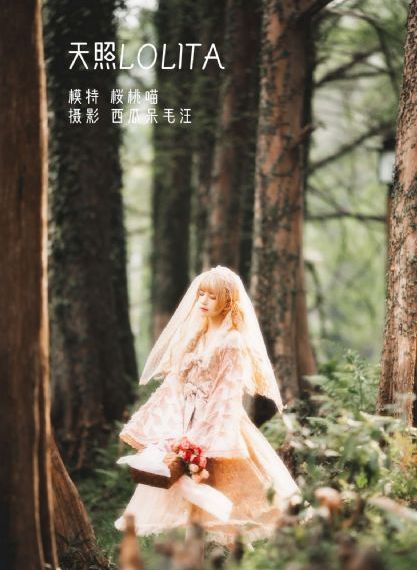昨夜星辰又逢君